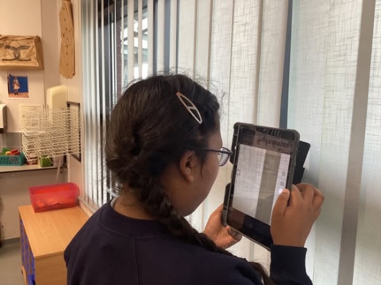 Mrs T's Blog (27.6.25)